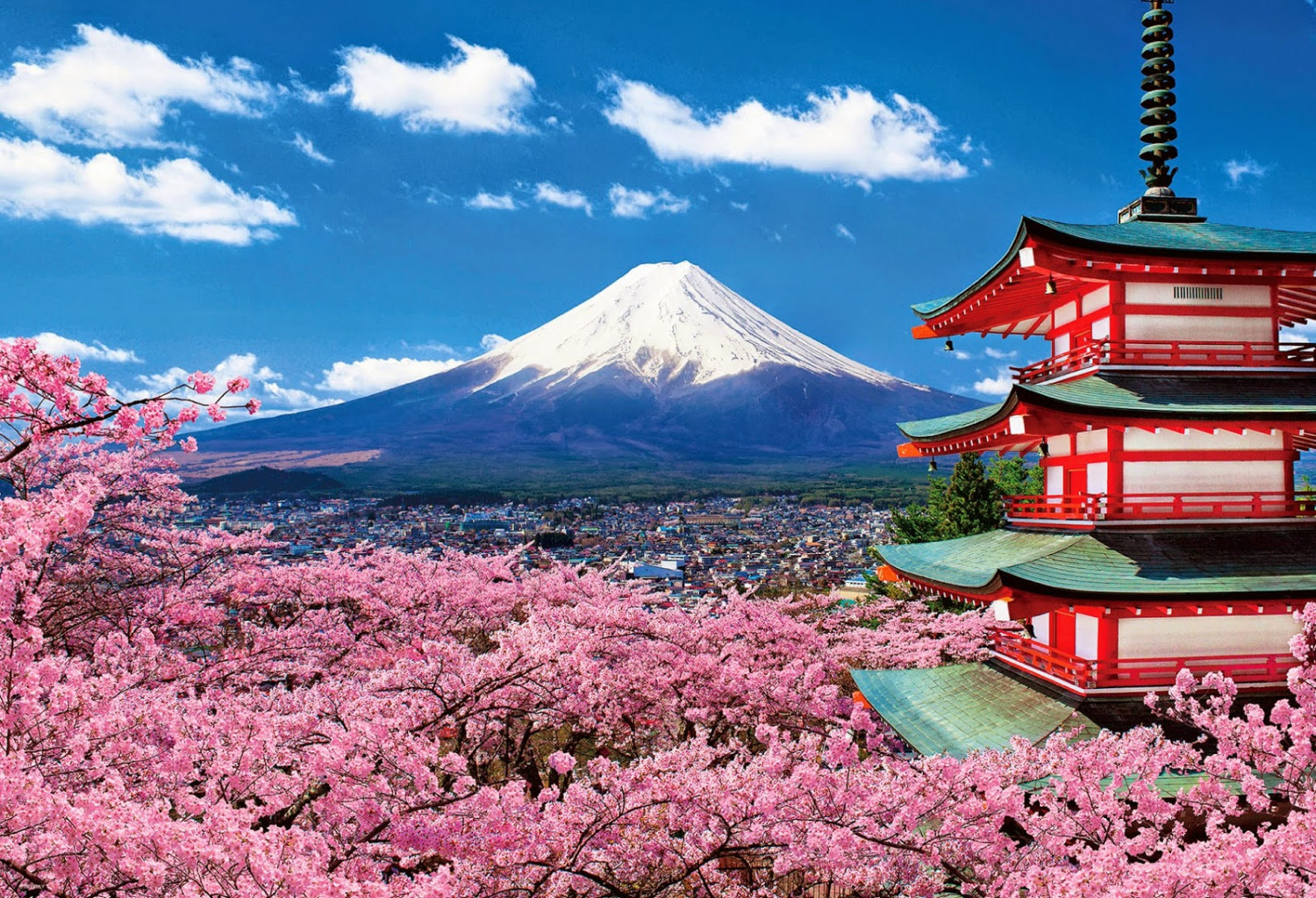 Tour Hà Nội - Nhật Bản 4N3Đ, Tokyo - Hakone - Núi Phú Sĩ, Khởi Hành Tháng 6 - 7 - 8