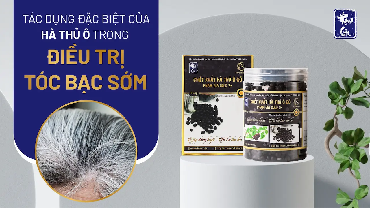 Hà Thủ Ô Đỏ Phạm Gia 1 Giải Pháp Điều Trị Bạc Tóc giúp bạn có một mái tóc đen mượt và không ngại hói