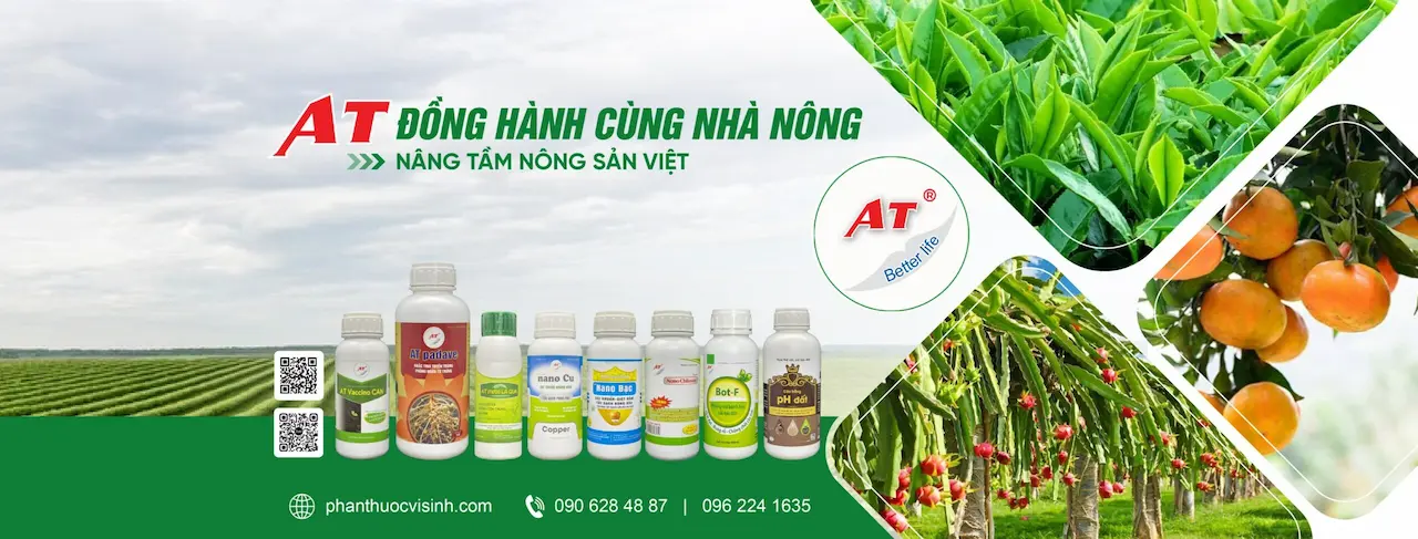 Phân Thuốc Vi Sinh At Sản Xuất Và Kinh Doanh Phân Bón Sinh Học, Thuốc Bvtv Sinh Học, Chế Phẩm Sinh Học Hàng Mới 100% Phục Vụ Nông Nghiệp