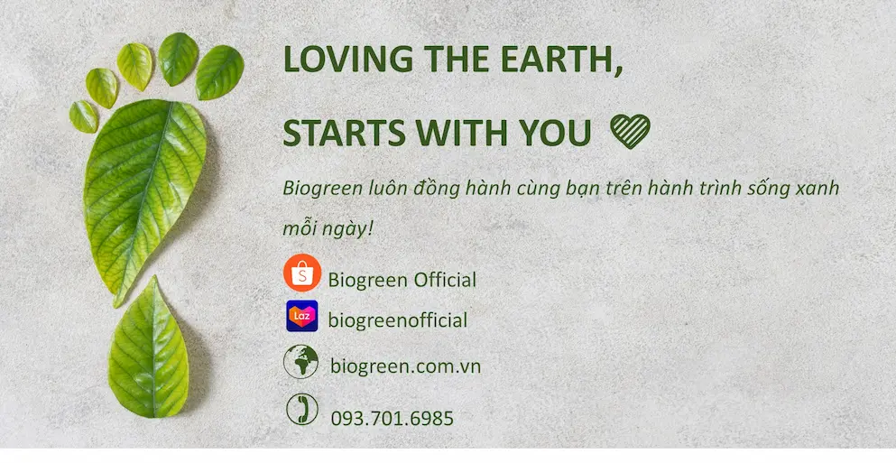 Biogreen Tự Hào Là 1 Trong Các Đơn Vị Đi Đầu Trong Việc Sản Xuất Và Phân Phối Các Sản Phẩm Thân Thiện Môi Trường Như: Ống Hút Giấy, Ly Cafe Giấy, Hộp Bã Mía, Hộp Kraft, Dụng Cụ Ăn Uống Bằng Gỗ,...