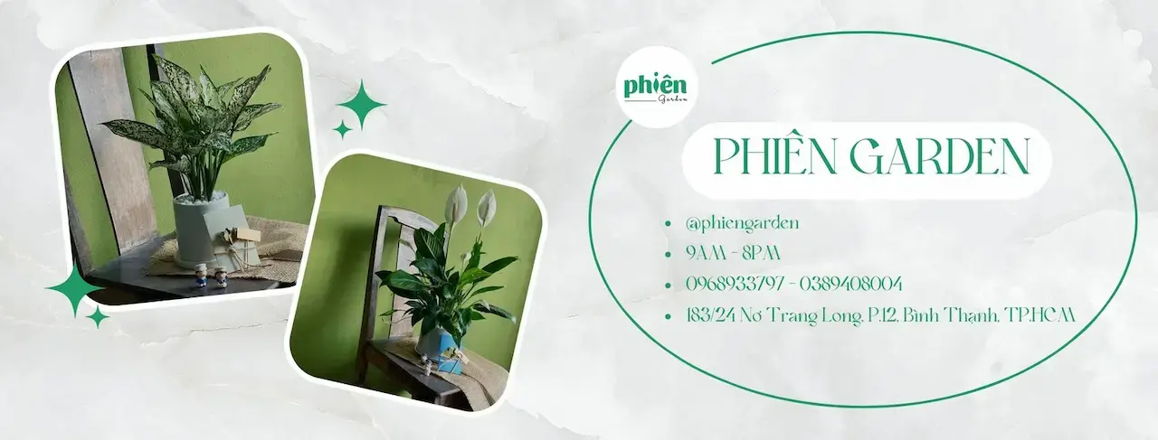 Phiên Garden Vườn Xanh Mong Muốn Trở Thành Người Bạn Đồng Hành, Là 1 Sợi Dây Kết Nối Giữa Con Người Và Thiên Nhiên , Mang Lại Giá Trị Cân Bằng Trong Cuộc Sống.