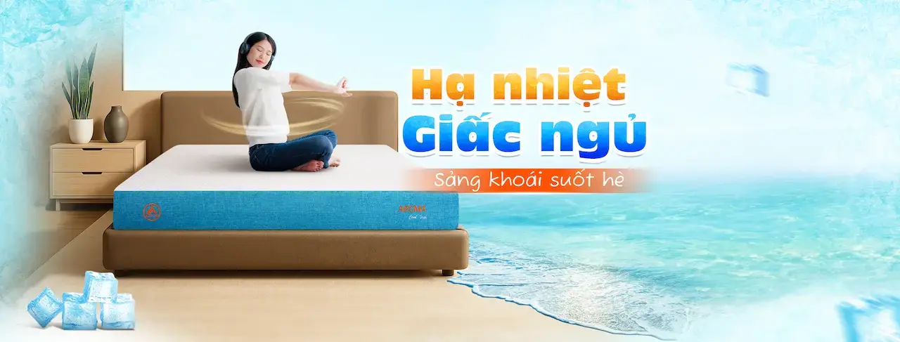 Nệm Aroma 1 công ty hàng đầu tại Việt Nam chuyên sản xuất Chăn Drap Gối Nệm cao cấp